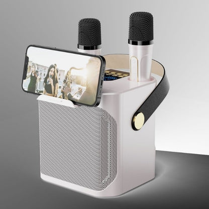 KOLEER S882 Bluetooth karaoke speaker with microphones